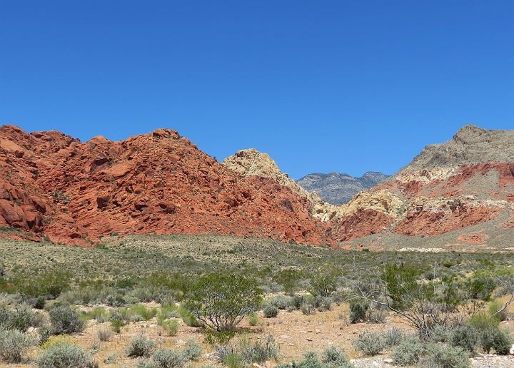 RED ROCK CANYON